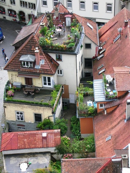 Сад на крыше: уголок природы в шумном городе
