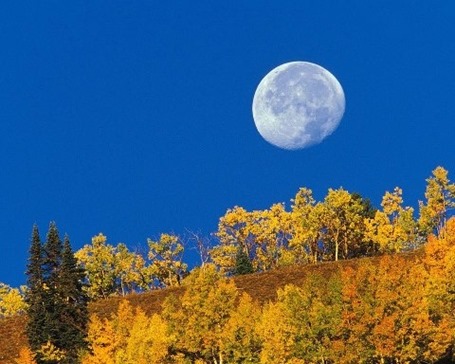 Что такое лунный календарь и для чего он нужен